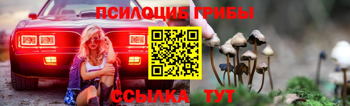 Верхний Уфалей  Галлюциногенные грибы прущие грибы  Вход с VPN  Псилоцибиновые грибы прущие грибы 